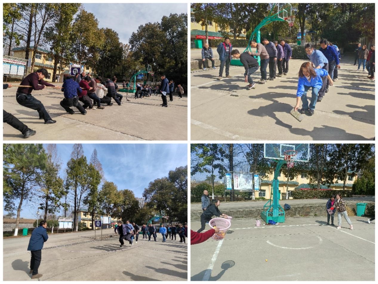 Collage_20240308_181759